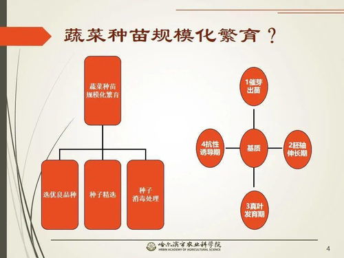 黨建引領(lǐng)謀發(fā)展 科技助農(nóng)備春耕 網(wǎng)絡課堂開啟工廠化育苗知識小百科